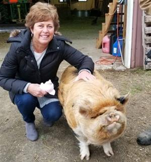 Kathy Fiorillo meets the pig she has to kiss. 